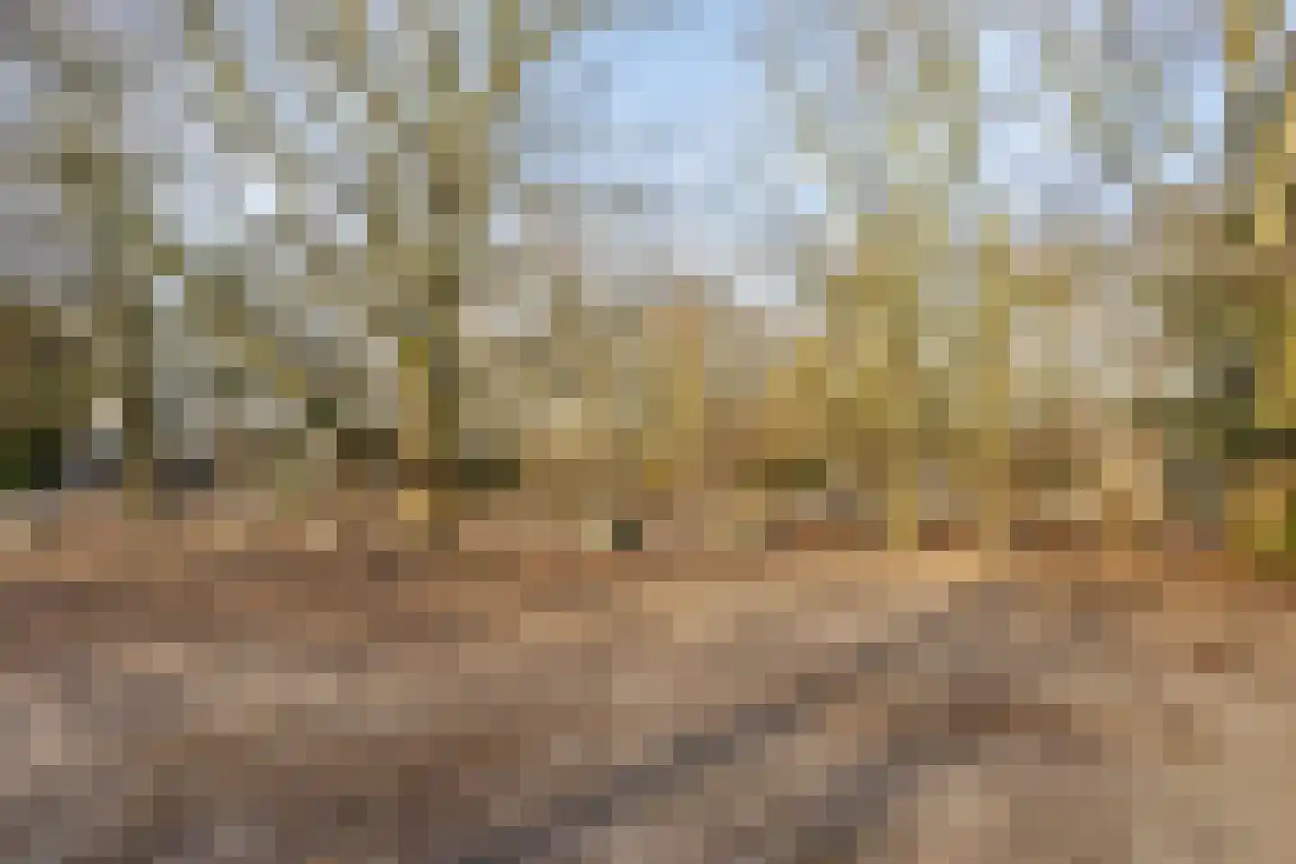 Mozartlaan 242 Den Haag thumbnail 36
