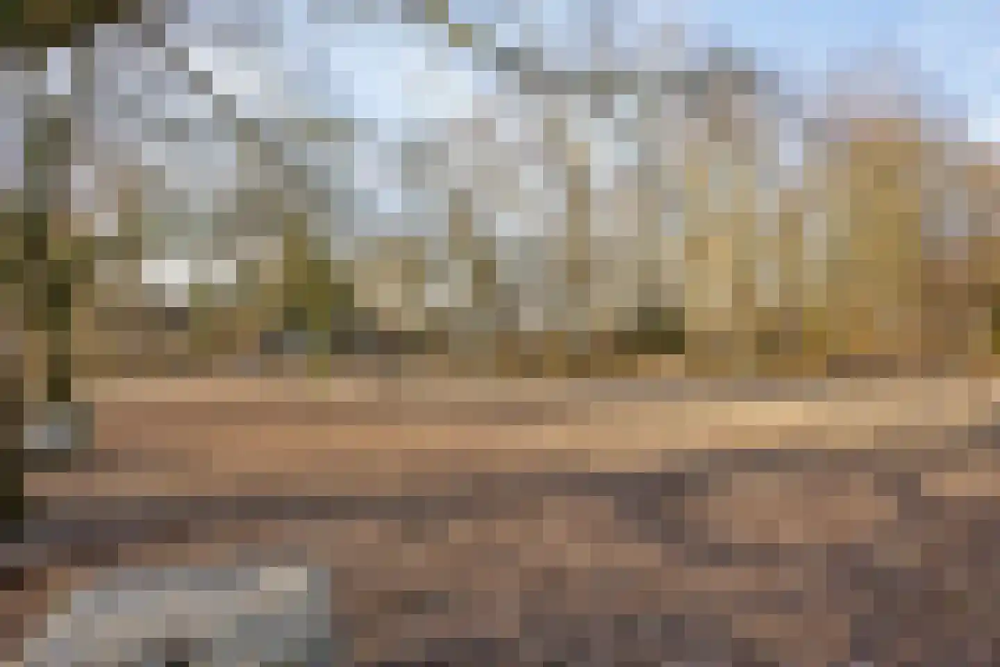 Mozartlaan 242 Den Haag thumbnail 37