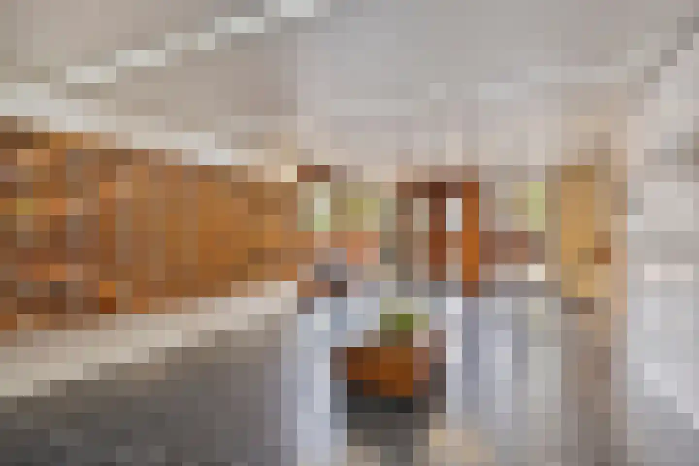 Mozartlaan 244 Den Haag thumbnail 8