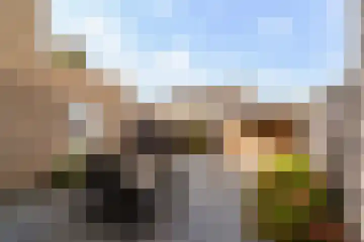Mozartlaan 244 Zwijndrecht thumbnail 28
