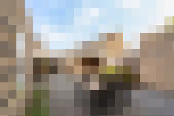 Mozartlaan 244 Zwijndrecht thumbnail 29