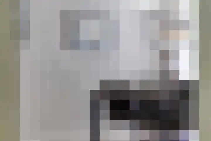 Mozartlaan 249 Tilburg thumbnail 17