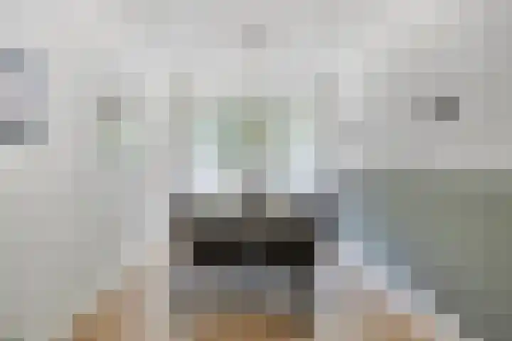 Mozartlaan 249 Tilburg thumbnail 19