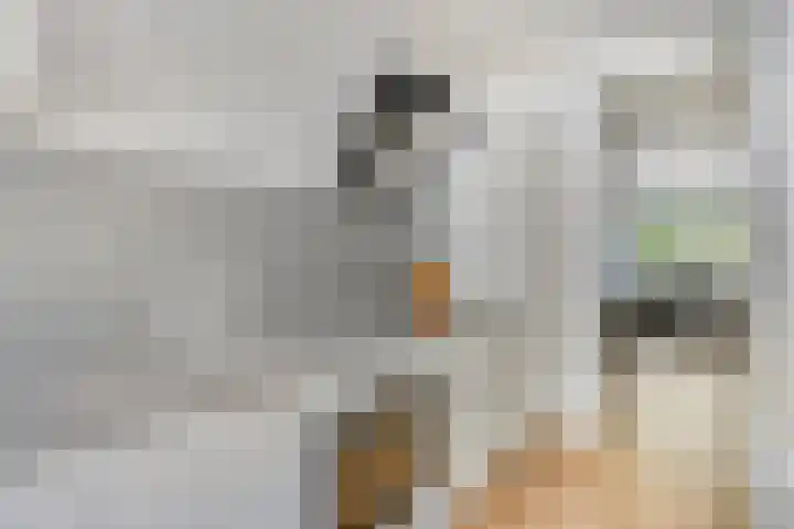 Mozartlaan 249 Tilburg thumbnail 21