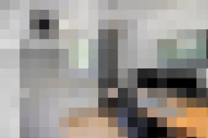 Mozartlaan 249 Tilburg thumbnail 29