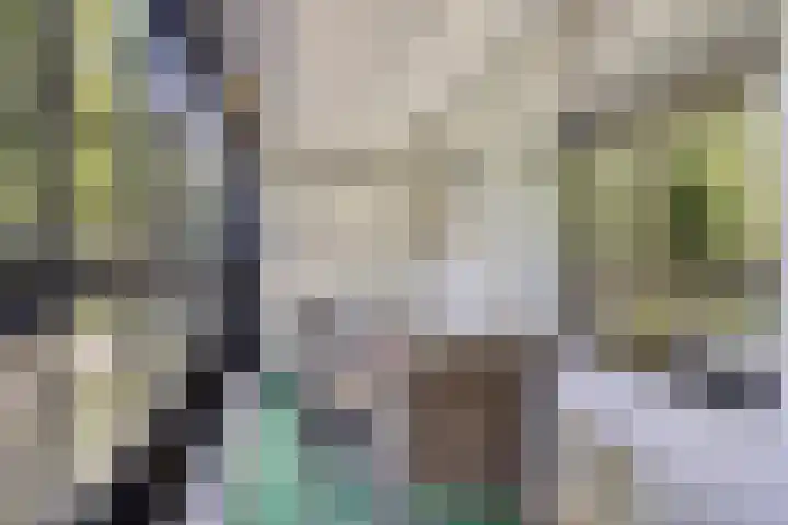 Mozartlaan 249 Tilburg thumbnail 31