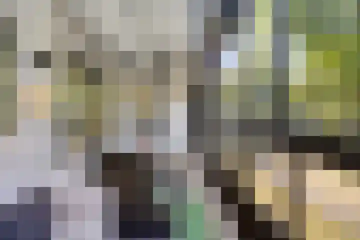 Mozartlaan 249 Tilburg thumbnail 32