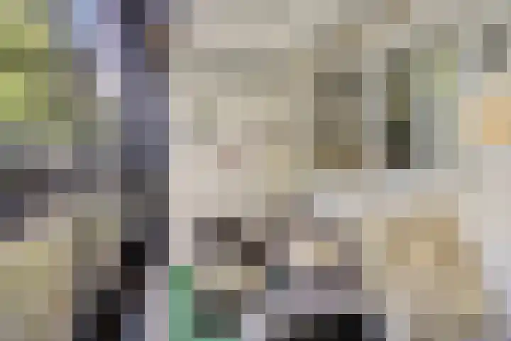 Mozartlaan 249 Tilburg thumbnail 33