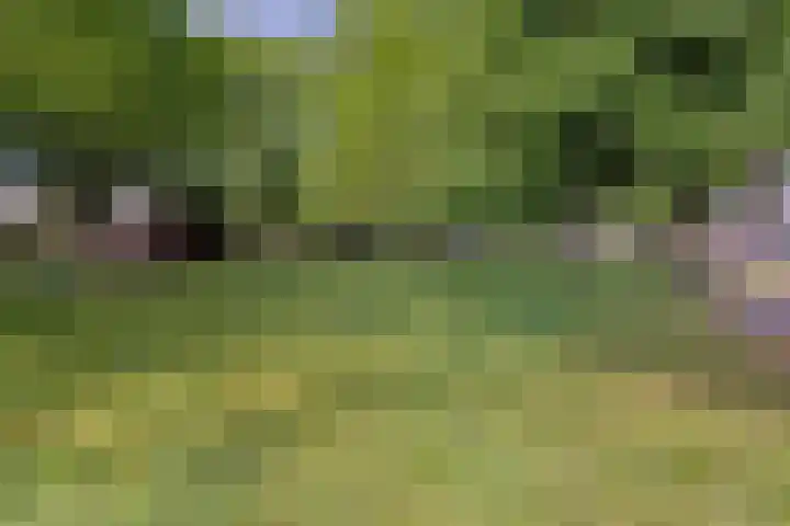 Mozartlaan 249 Tilburg thumbnail 34
