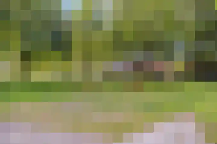 Mozartlaan 249 Tilburg thumbnail 35