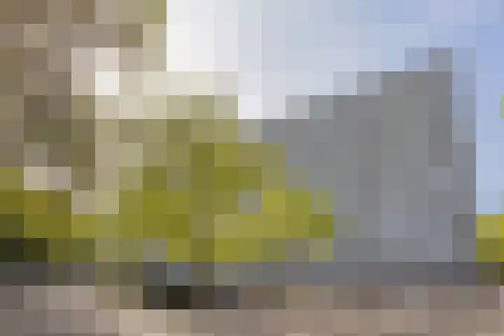 Mozartlaan 249 Tilburg thumbnail 36