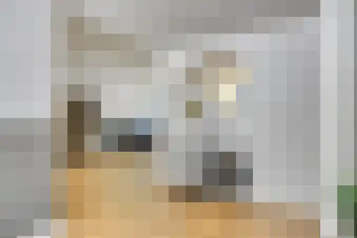 Mozartlaan 249 Tilburg thumbnail 6
