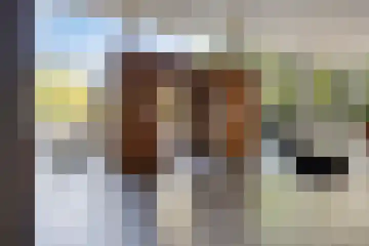 Mozartlaan 249 Tilburg thumbnail 8