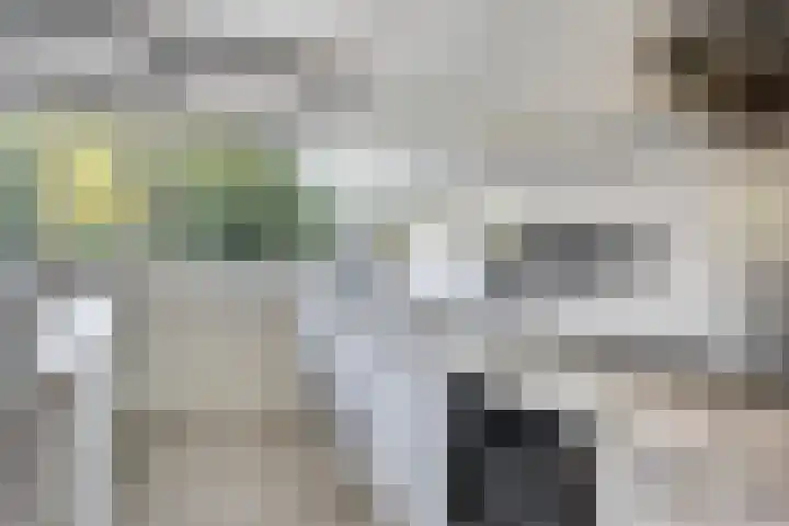 Mozartlaan 265 Tilburg thumbnail 10