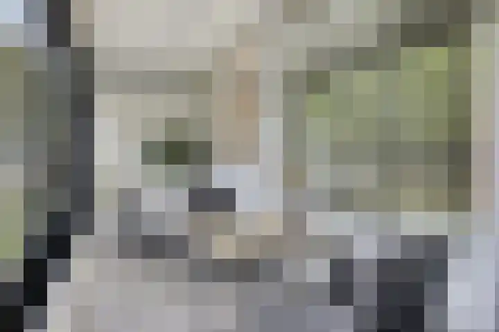 Mozartlaan 265 Tilburg thumbnail 12