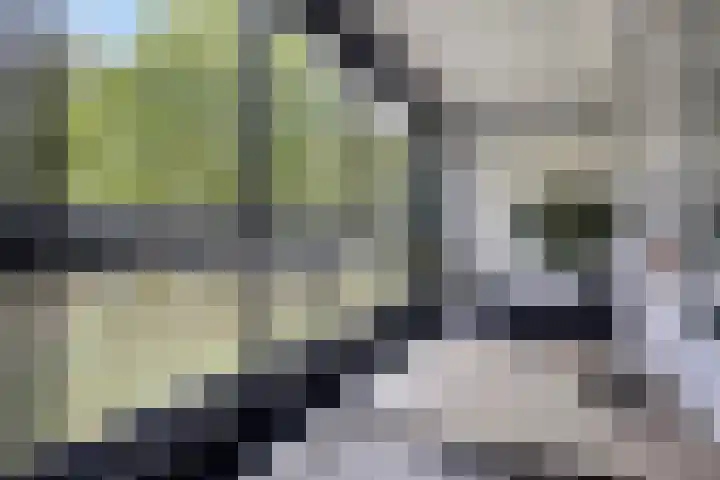 Mozartlaan 265 Tilburg thumbnail 13