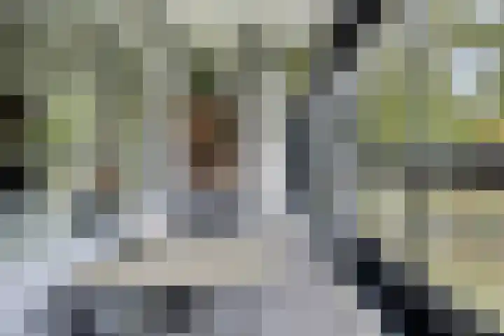 Mozartlaan 265 Tilburg thumbnail 14