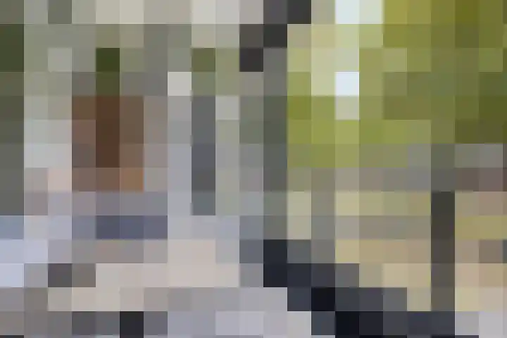 Mozartlaan 265 Tilburg thumbnail 15
