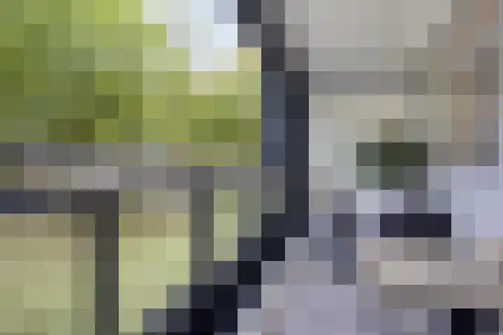 Mozartlaan 265 Tilburg thumbnail 16
