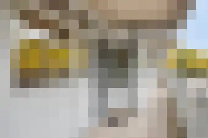 Mozartlaan 265 Tilburg thumbnail 32