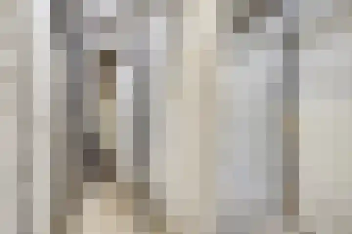 Mozartlaan 265 Tilburg thumbnail 36