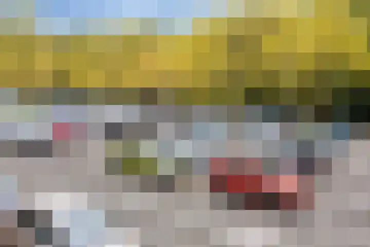 Mozartlaan 265 Tilburg thumbnail 40