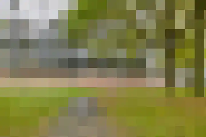 Mozartlaan 265 Tilburg thumbnail 41