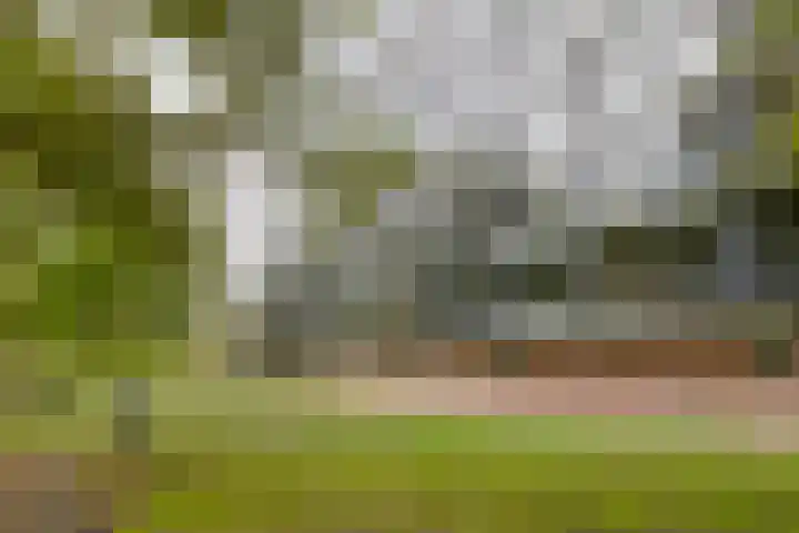 Mozartlaan 265 Tilburg thumbnail 42