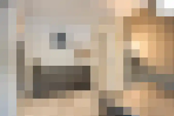 Mozartlaan 265 Tilburg thumbnail 9