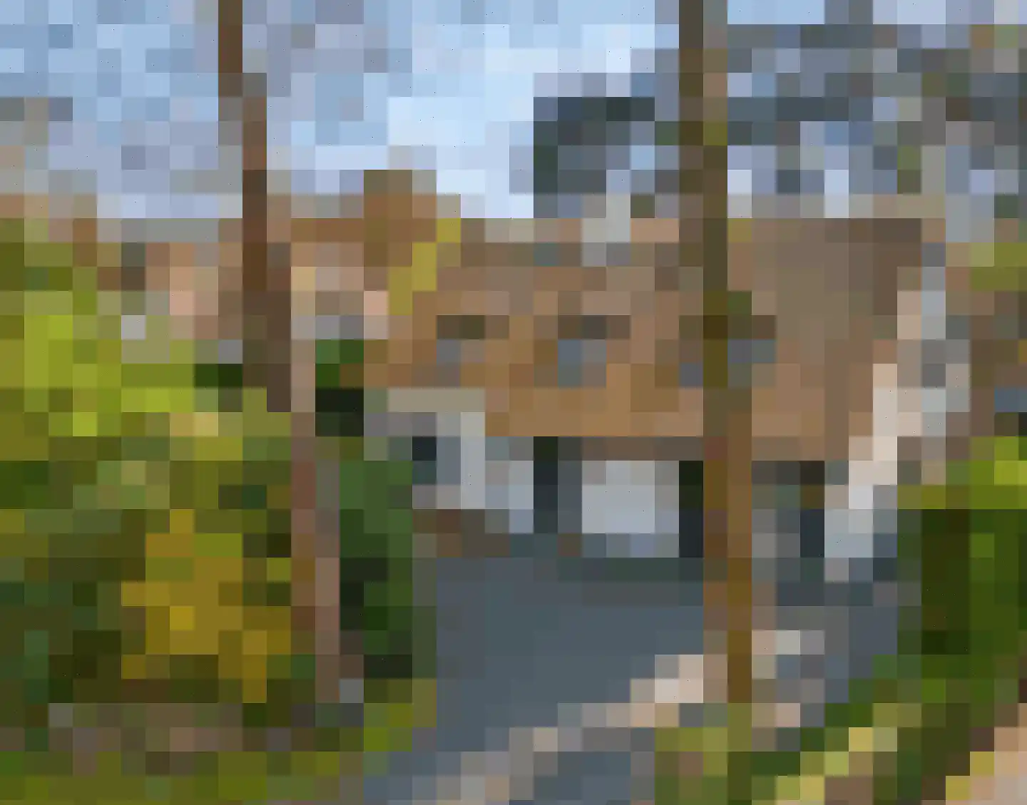 Mozartlaan 28 Bilthoven foto 2