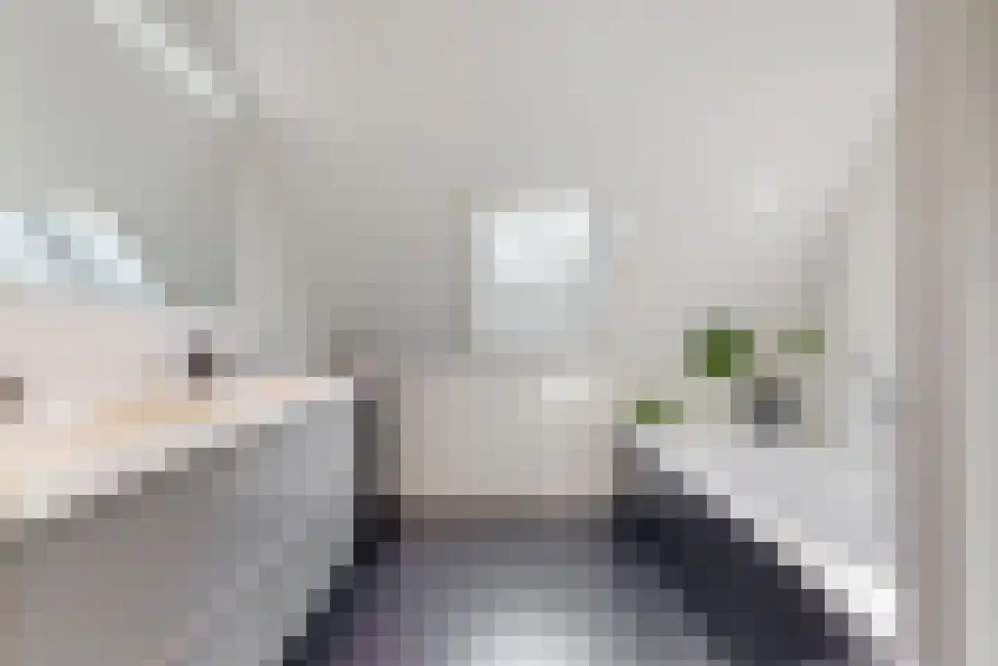 Mozartlaan 28 Bilthoven thumbnail 35