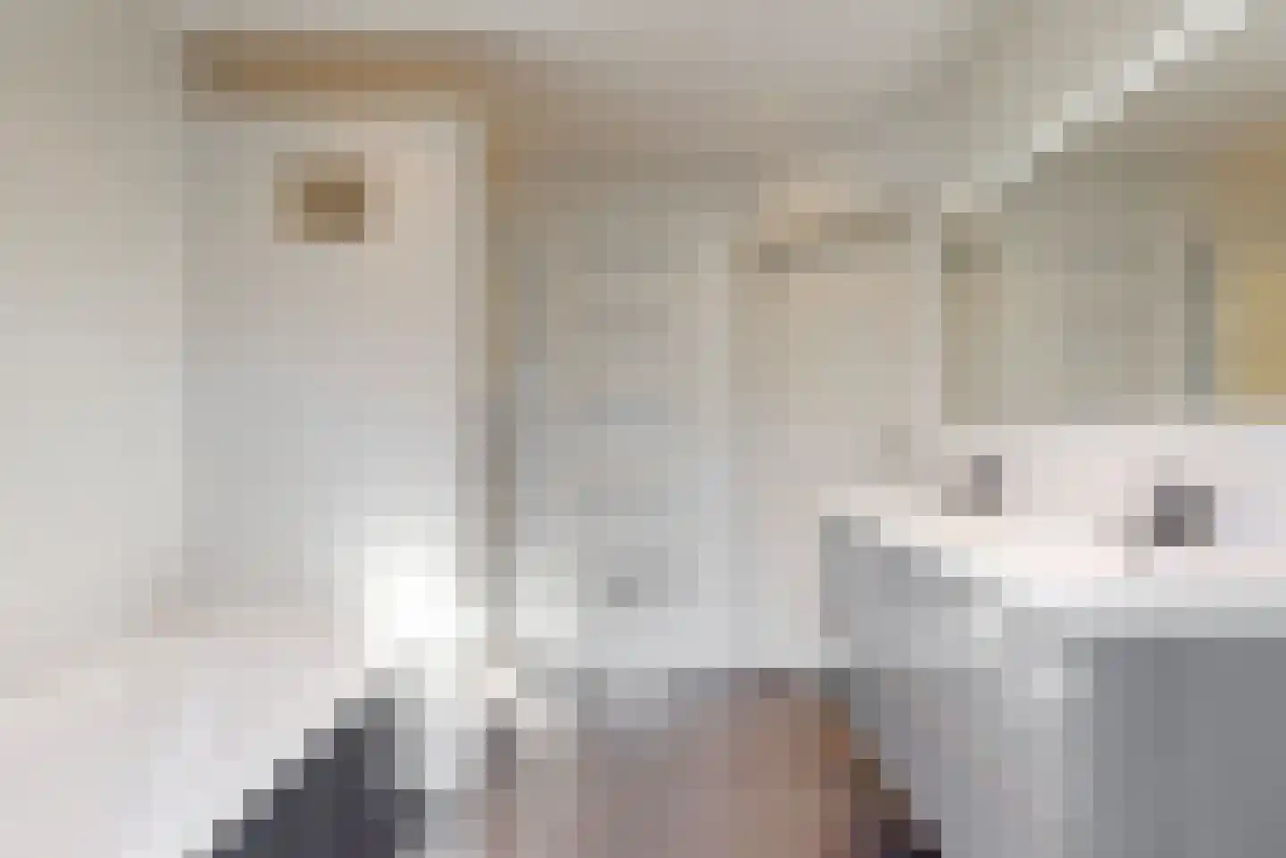 Mozartlaan 28 Bilthoven thumbnail 36