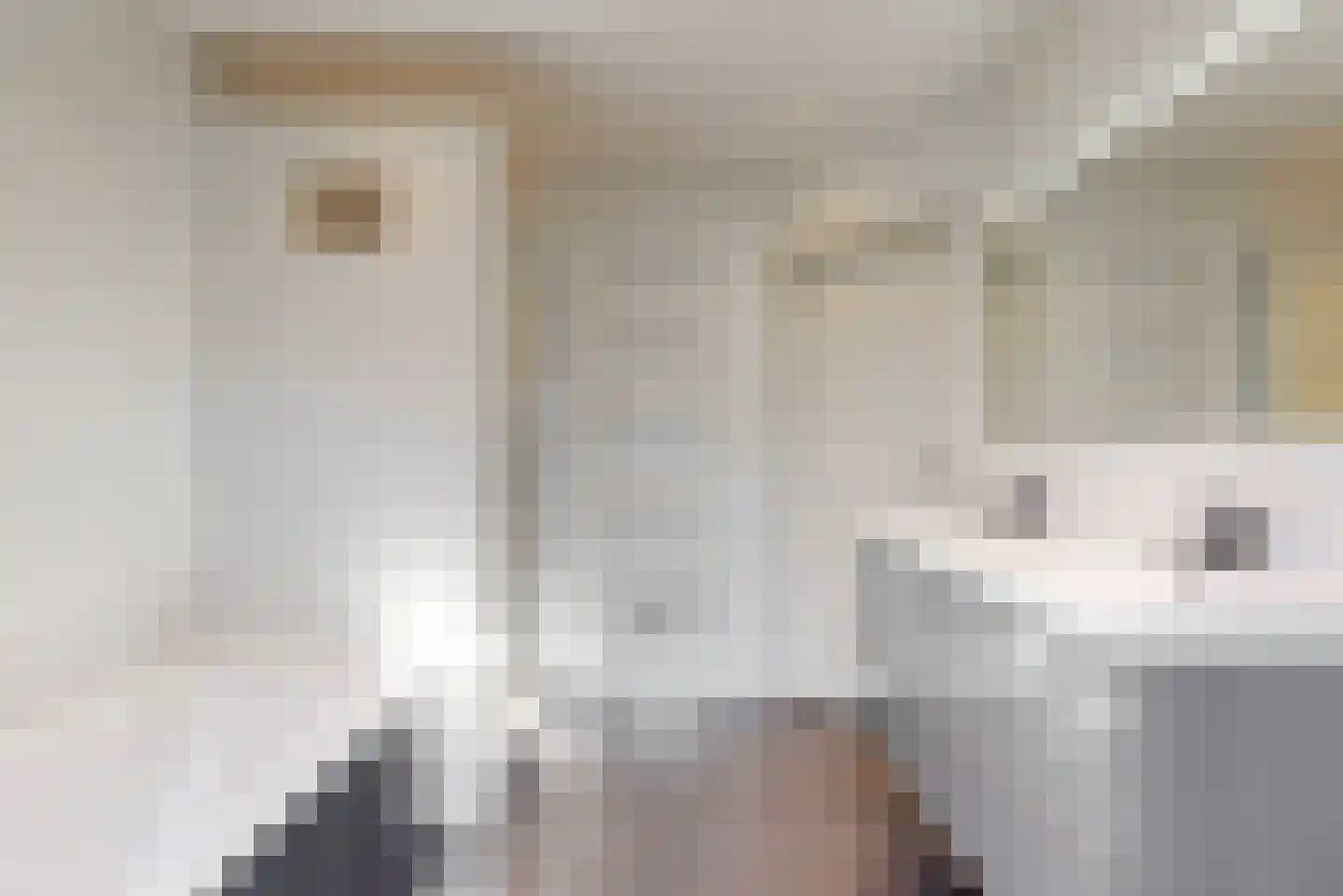 Mozartlaan 28 Bilthoven thumbnail 37