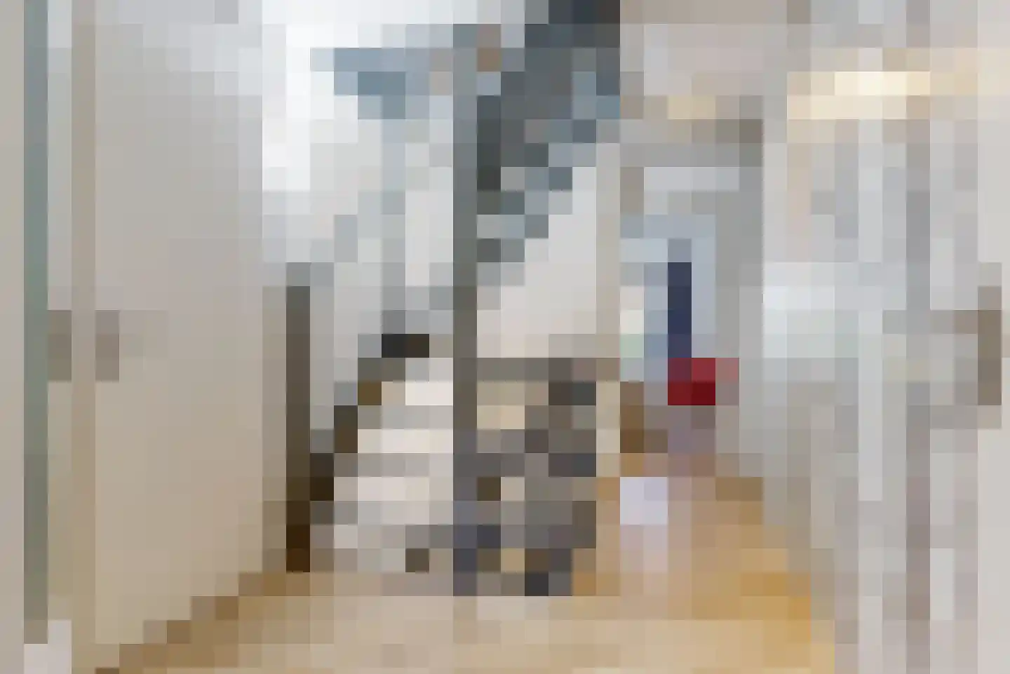 Mozartlaan 28 Bilthoven thumbnail 39