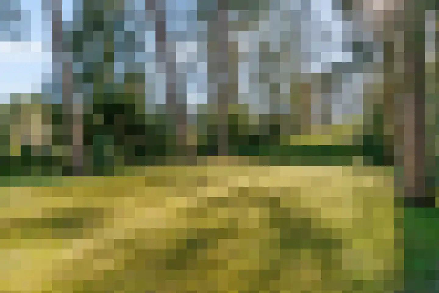 Mozartlaan 28 Bilthoven thumbnail 47