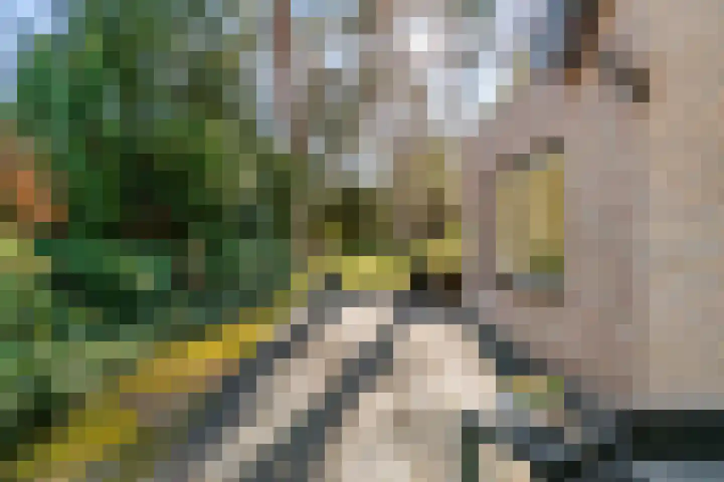 Mozartlaan 28 Bilthoven thumbnail 48