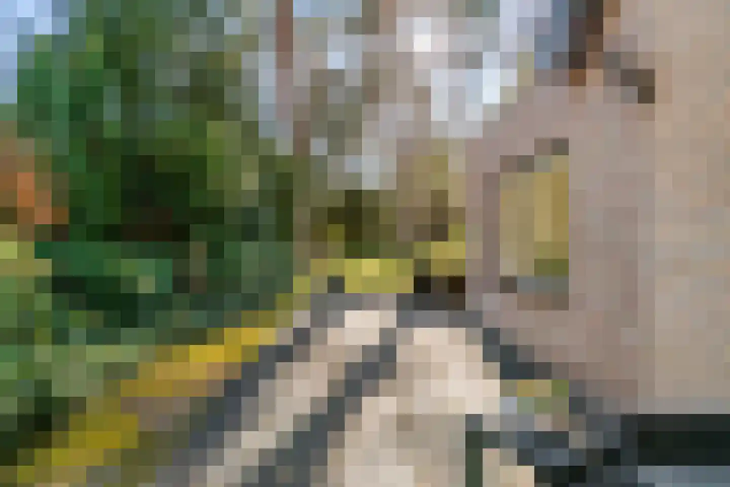 Mozartlaan 28 Bilthoven thumbnail 52