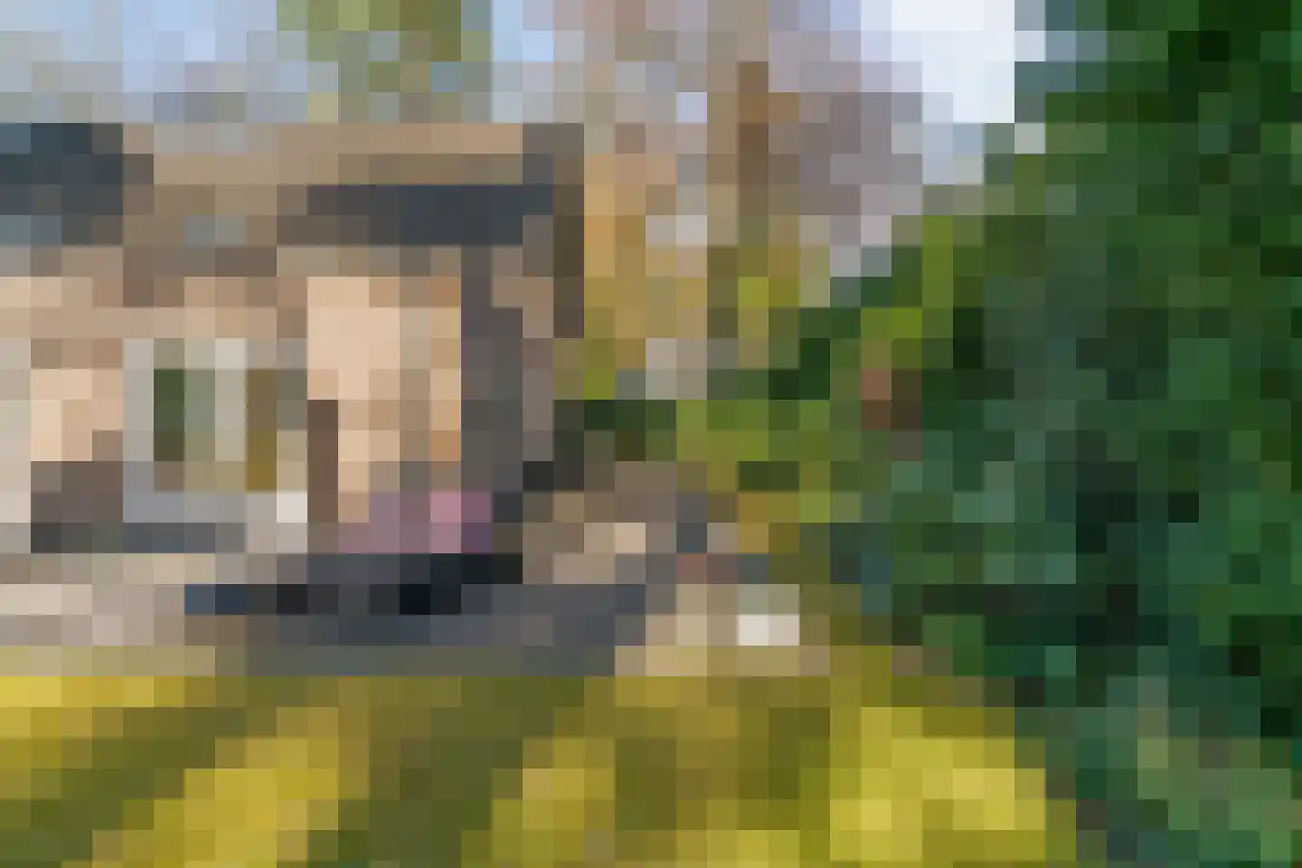 Mozartlaan 28 Bilthoven thumbnail 55