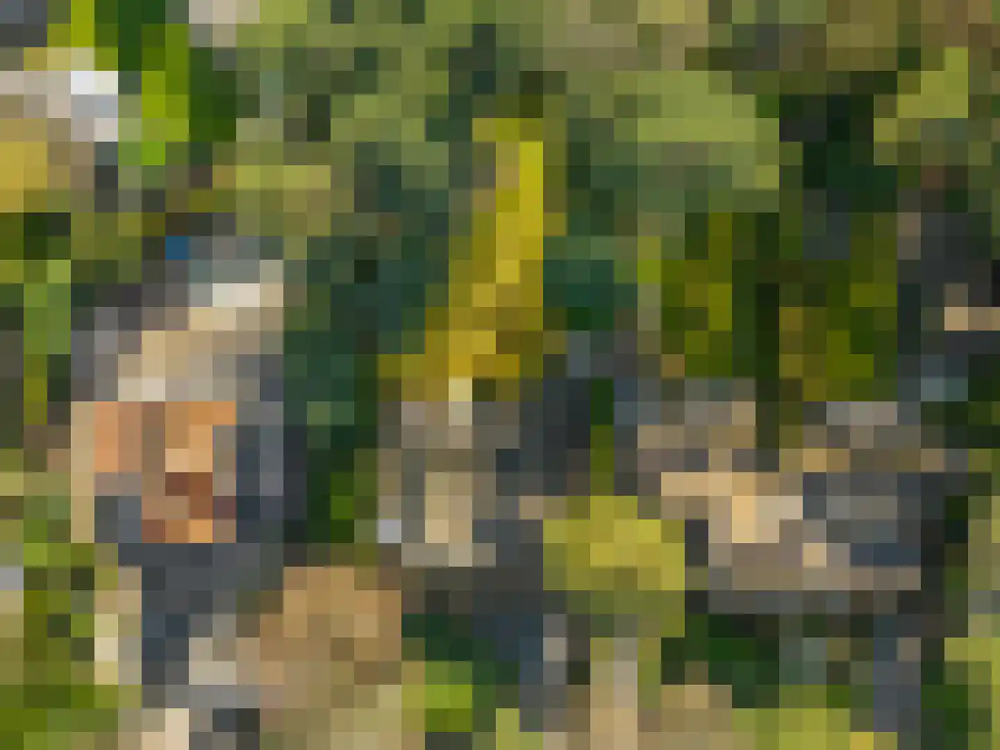 Mozartlaan 28 Bilthoven thumbnail 57