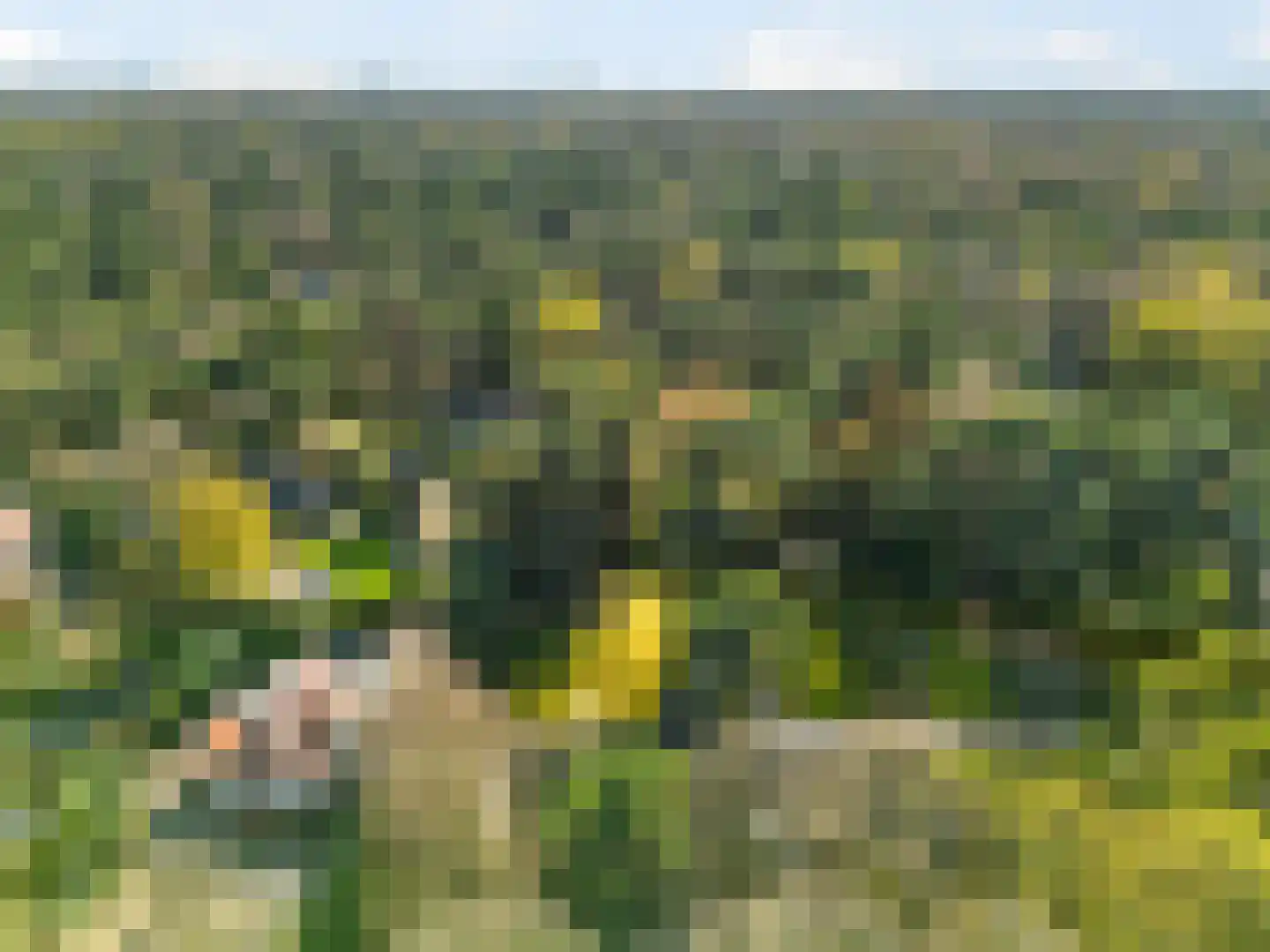 Mozartlaan 28 Bilthoven thumbnail 58