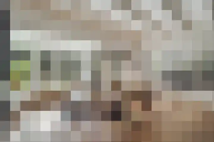 Mozartlaan 28 Hilversum thumbnail 12
