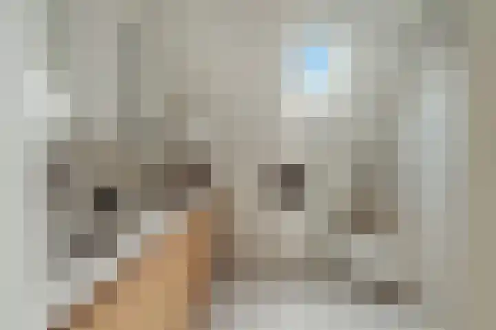 Mozartlaan 28 Hilversum thumbnail 21