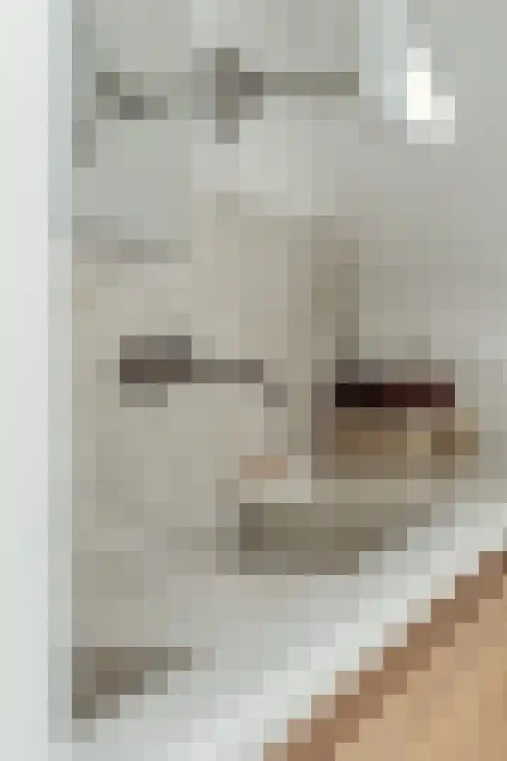 Mozartlaan 28 Hilversum thumbnail 22