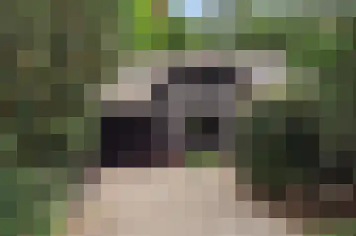 Mozartlaan 28 Hilversum thumbnail 31
