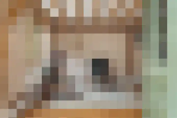 Mozartlaan 28 Hilversum thumbnail 32