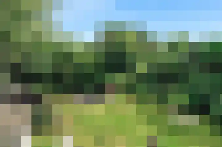 Mozartlaan 28 Hilversum thumbnail 35