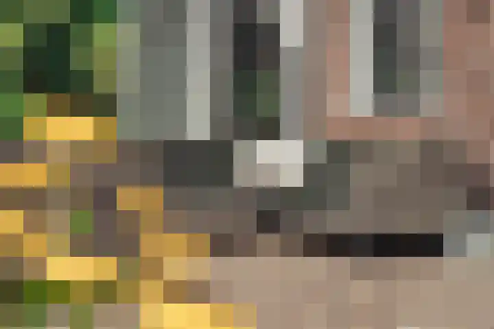Mozartlaan 28 Hilversum thumbnail 39