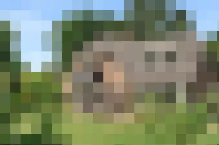 Mozartlaan 28 Hilversum thumbnail 40