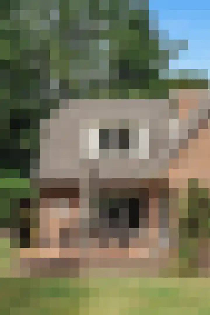 Mozartlaan 28 Hilversum thumbnail 42
