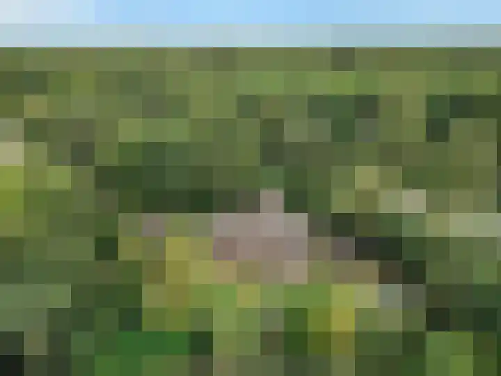 Mozartlaan 28 Hilversum thumbnail 43